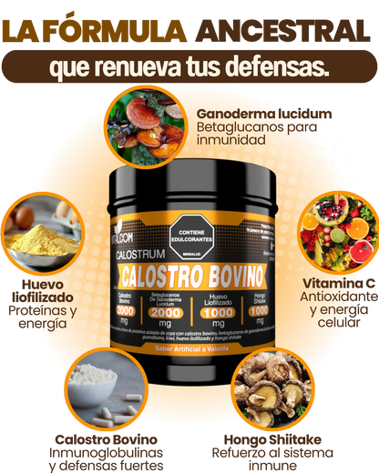 CALOSTRO BOVINO